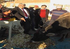 Organik tarımda bir ilk